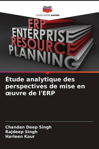 Étude analytique des perspectives de mise en ¿uvre de l'ERP