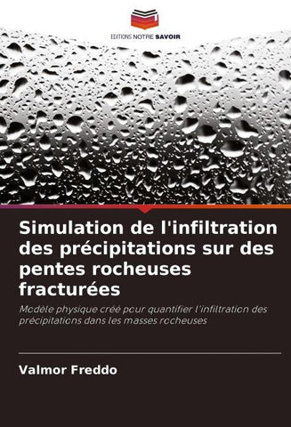 Simulation de l'infiltration des précipitations sur des pentes rocheuses fracturées