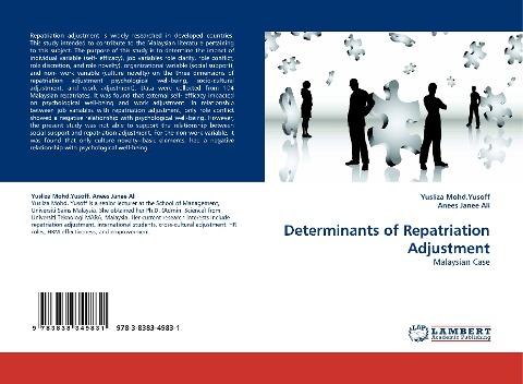 Determinants of Repatriation Adjustment