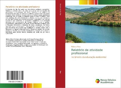 Relatório de atividade profissional
