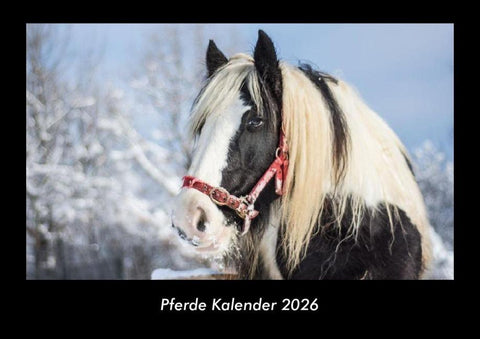 Pferde Kalender 2026 Fotokalender DIN A3