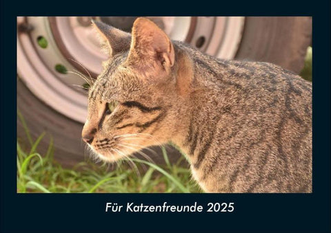 Für Katzenfreunde 2025 Fotokalender DIN A4