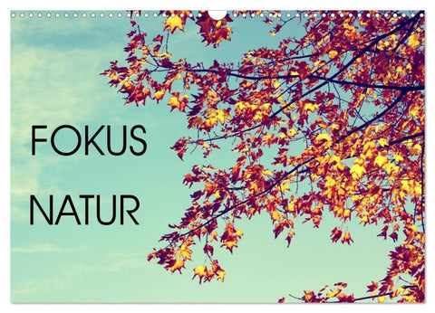 Focus Natur (Wandkalender 2026 DIN A3 quer), CALVENDO Monatskalender