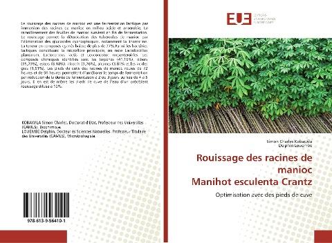 Rouissage des racines de manioc Manihot esculenta Crantz