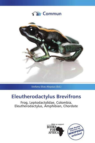 Eleutherodactylus Brevifrons
