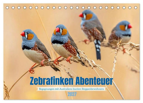Zebrafinken Abenteuer (Tischkalender 2027 DIN A5 quer), CALVENDO Monatskalender