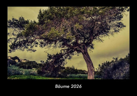 Bäume 2026 Fotokalender DIN A3