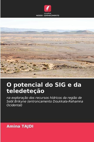 O potencial do SIG e da teledeteção