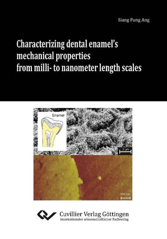 Characterizing dental enamel's mechanical properties from milli- to nanometer length scales
