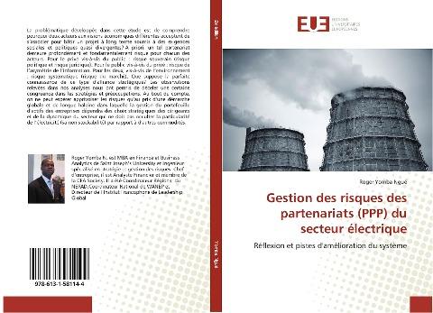 Gestion des risques des partenariats (PPP) du secteur électrique