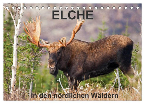 ELCHE In den nördlichen Wäldern (Tischkalender 2026 DIN A5 quer), CALVENDO Monatskalender