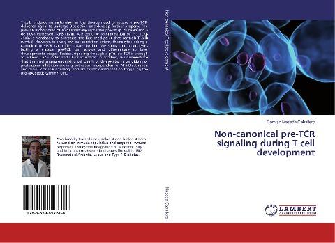 Non-canonical pre-TCR signaling during T cell development