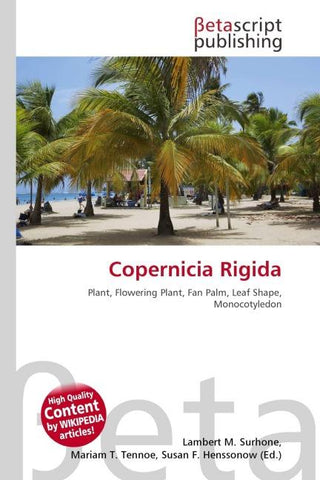 Copernicia Rigida