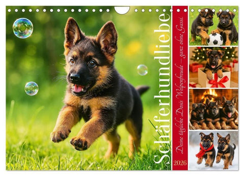 Schäferhundliebe - Deine tägliche Dosis Welpenfreude - ganz ohne Gassi. (Wandkalender 2026 DIN A4 quer), CALVENDO Monatskalender