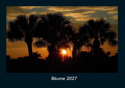 Bäume 2027 Fotokalender DIN A4