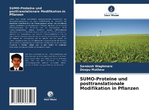 SUMO-Proteine und posttranslationale Modifikation in Pflanzen