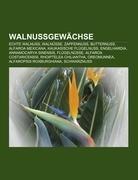 Walnussgewächse