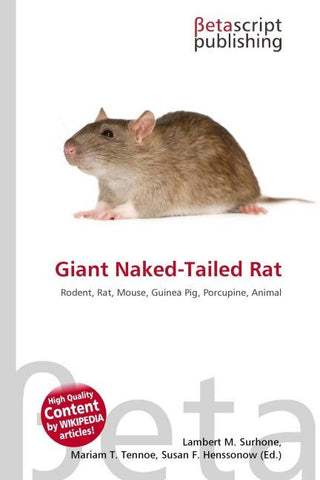Giant Naked-Tailed Rat