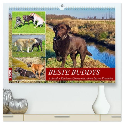 Beste Buddys (hochwertiger Premium Wandkalender 2026 DIN A2 quer), Kunstdruck in Hochglanz