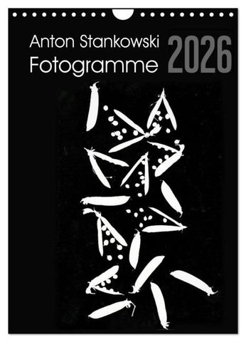 Anton Stankowski Fotogramme (Wandkalender 2026 DIN A4 hoch), CALVENDO Monatskalender