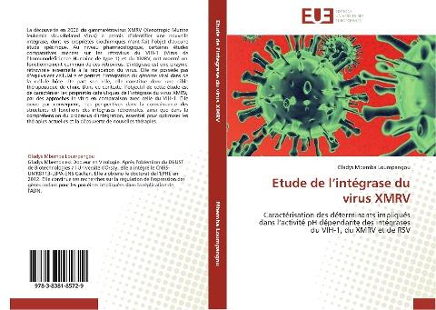 Etude de l'intégrase du virus XMRV