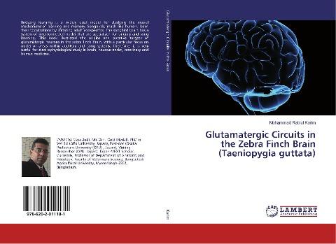 Glutamatergic Circuits in the Zebra Finch Brain (Taeniopygia guttata)