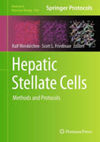 Hepatic Stellate Cells