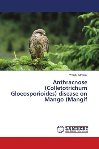 Anthracnose (Colletotrichum Gloeosporioides) disease on Mango (Mangif