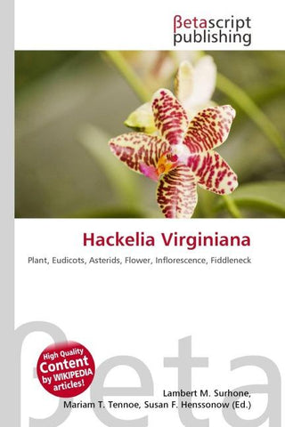 Hackelia Virginiana