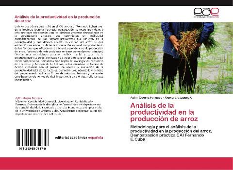 Análisis de la productividad en la producción de arroz