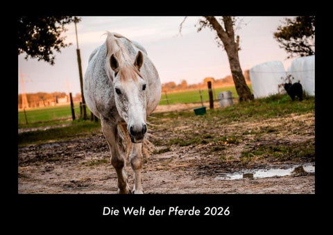 Die Welt der Pferde 2026 Fotokalender DIN A3