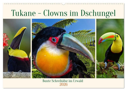 Tukane - Clowns im Dschungel (Wandkalender 2026 DIN A2 quer), CALVENDO Monatskalender