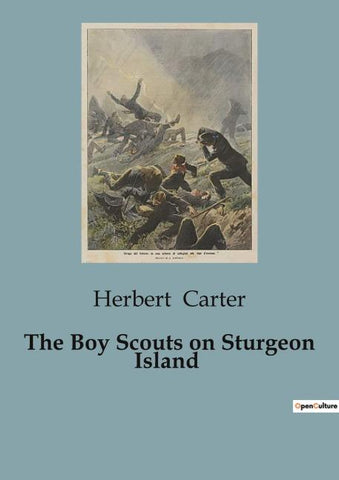 The Boy Scouts on Sturgeon Island