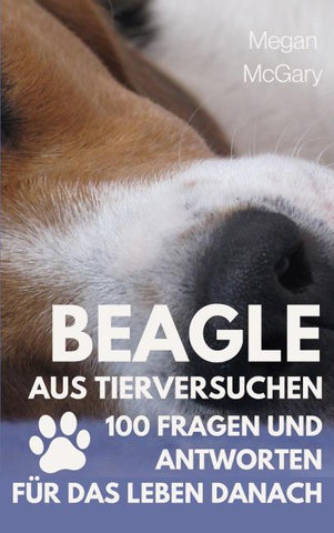 Beagle aus Tierversuchen