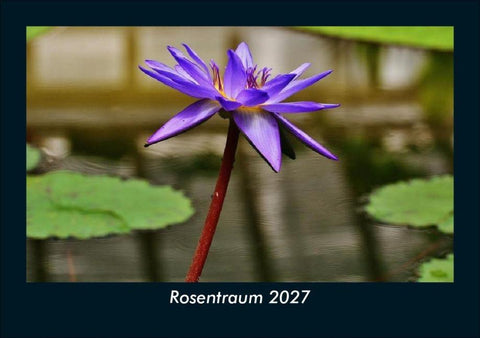 Rosentraum 2027 Fotokalender DIN A5