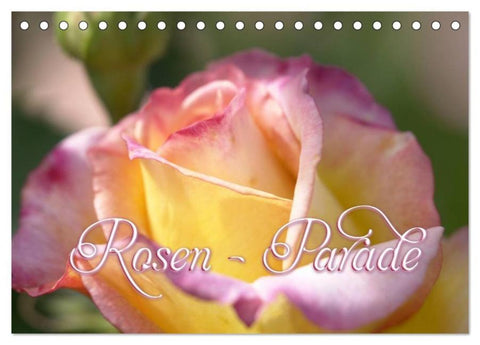 Rosen - Parade (Tischkalender 2026 DIN A5 quer), CALVENDO Monatskalender