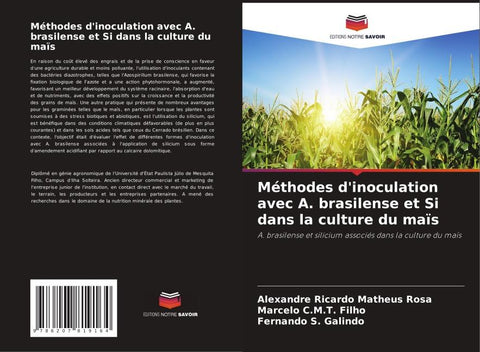 Méthodes d'inoculation avec A. brasilense et Si dans la culture du maïs