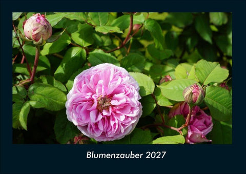 Blumenzauber 2027 Fotokalender DIN A4