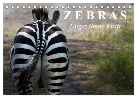 Zebras - Ungezähmte Kraft (Tischkalender 2026 DIN A5 quer), CALVENDO Monatskalender