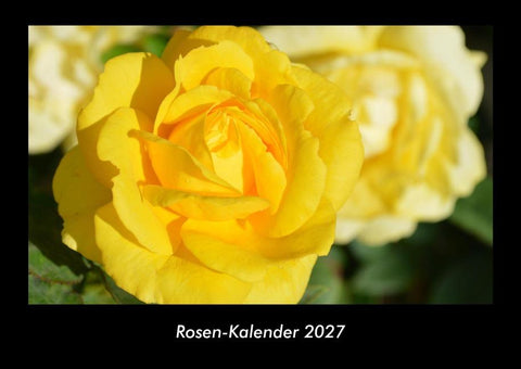 Rosen-Kalender 2027 Fotokalender DIN A3