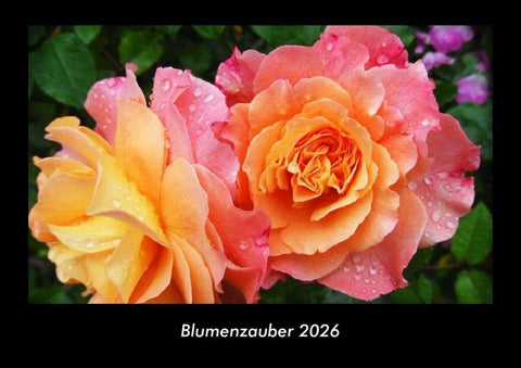 Blumenzauber 2026 Fotokalender DIN A3