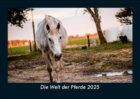 Die Welt der Pferde 2025 Fotokalender DIN A5