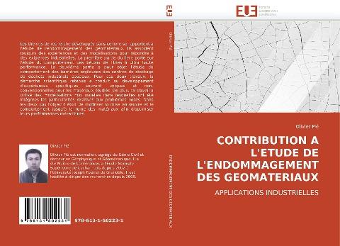 CONTRIBUTION A L''ETUDE DE L''ENDOMMAGEMENT DES GEOMATERIAUX