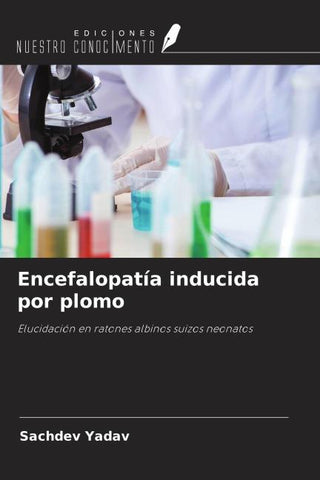 Encefalopatía inducida por plomo