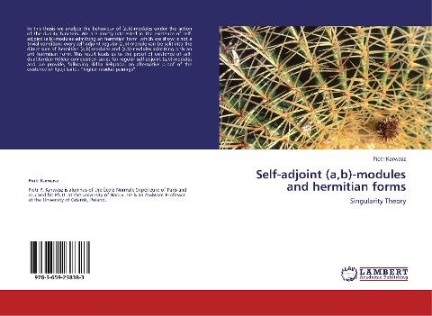 Self-adjoint (a,b)-modules and hermitian forms