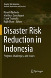 Disaster Risk Reduction in Indonesia