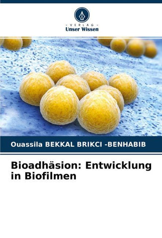 Bioadhäsion: Entwicklung in Biofilmen