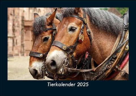 Tierkalender 2025 Fotokalender DIN A5
