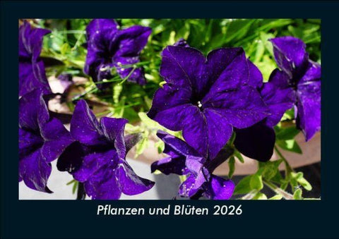 Pflanzen und Blüten 2026 Fotokalender DIN A5
