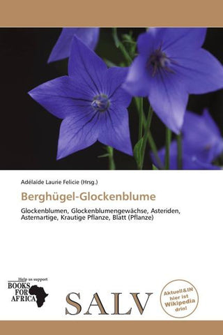 Berghügel-Glockenblume